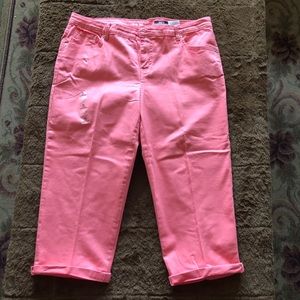 Style & Co Denim Capri Size 16W